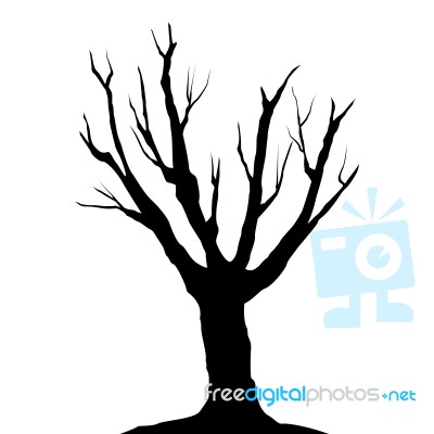 Black Tree Without Leaves Set Stock Image