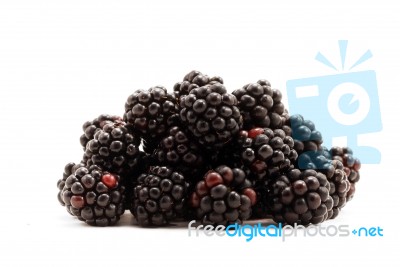 Blackberries Stock Photo