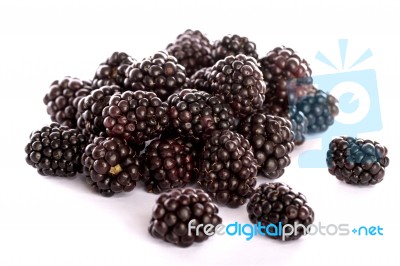 Blackberries On White Stock Photo