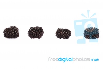 Blackberries On White Stock Photo