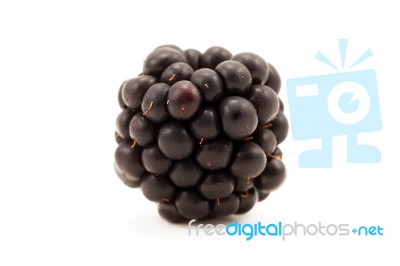 Blackberry Stock Photo