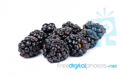 Blackberry Isolated On The White Background Stock Photo