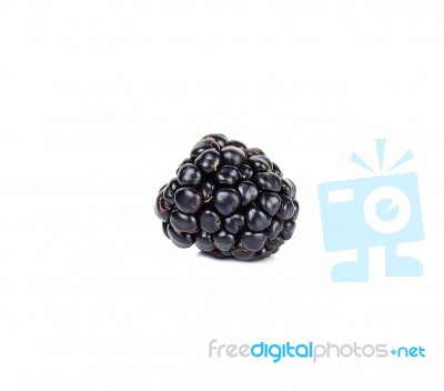 Blackberry Isolated On The White Background Stock Photo