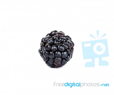 Blackberry Isolated On The White Background Stock Photo