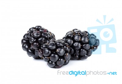 Blackberry Isolated On The White Background Stock Photo