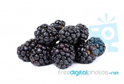 Blackberry Isolated On White Bakcground Stock Photo