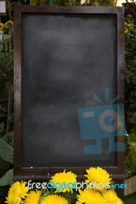 Blank Blackboard For Quick Message Stock Photo