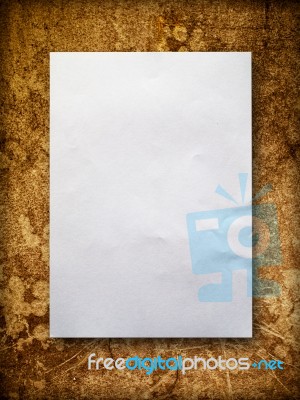 Blank Paper On Old Wall Stock Photo