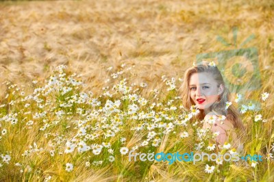 Blond Girl On The Camomile Field Stock Photo