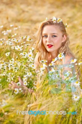 Blond Girl On The Camomile Field Stock Photo