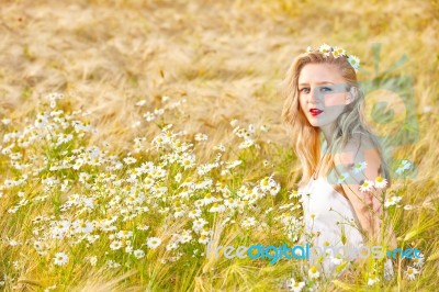 Blond Girl On The Camomile Field Stock Photo Blond Girl On The Camomile Field Stock Photo
