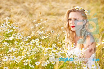 Blond Girl On The Camomile Field Stock Photo