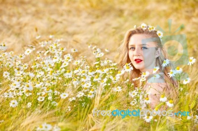 Blond Girl On The Camomile Field Stock Photo