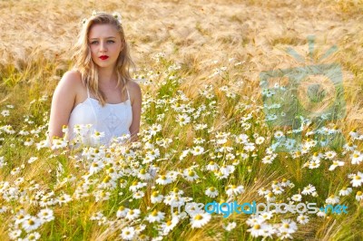 Blond Girl On The Camomile Field Stock Photo