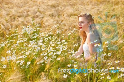 Blond Girl On The Camomile Field Stock Photo