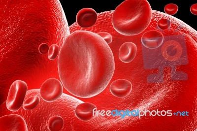 Blood Cells Stock Image