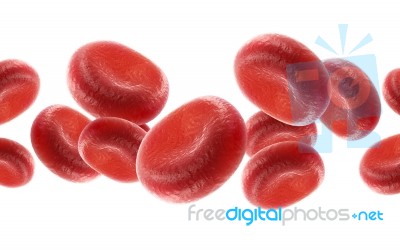 Blood Cells Stock Image