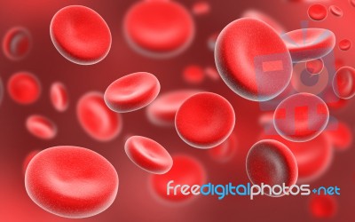 Blood Cells Stock Image