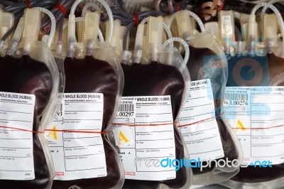 Blood Donation Stock Photo