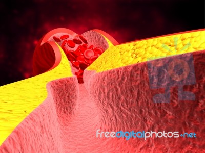 Blood Vein With Red Blood Cells Stock Image