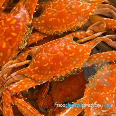 Blue Crab Boiled Stock Photo