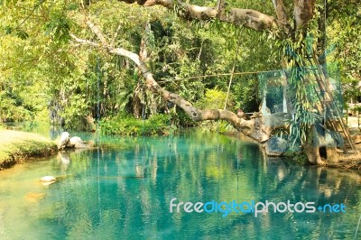 Blue Lagoon In Vang Vieng, Laos. Travel Destination With Clear W… Stock Photo