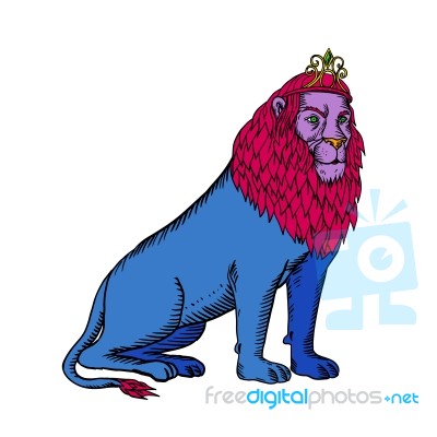 Blue Lion Sitting Wearing Tiara Crown Etching Stock Image