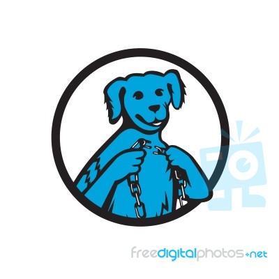 Blue Merle Dog Holding Broken Chain Mascot Stock Image