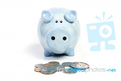 Blue Piggy Bank Savings Stock Photo