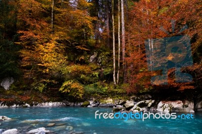 Blue River With Autumn Colors On The Trees Stock Photo