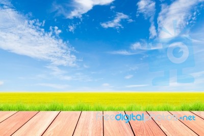 Blue Sky And Green Rice Field With Plank Wood Foreground Stock Photo