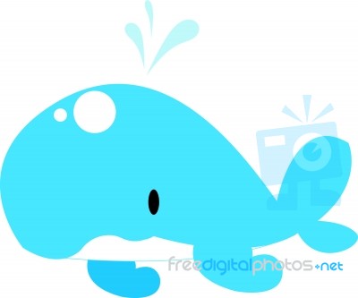 Blue Whale Stock Image