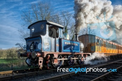 Bluebell Leaving Sheffield Park Station Stock Photo