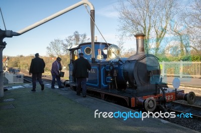 Bluebell Steam Train At Sheffield Park Station Stock Photo