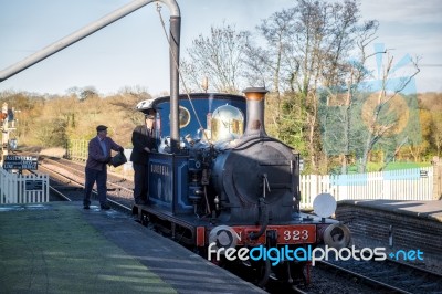 Bluebell Steam Train At Sheffield Park Station Stock Photo