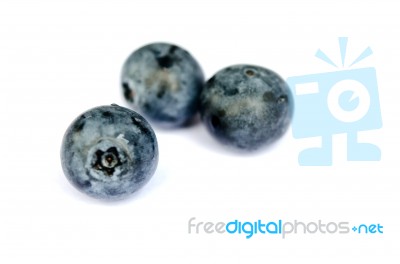 Blueberries Isolated Stock Photo