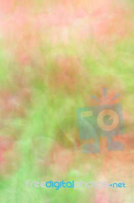 Blurred Floral Field Background. Blurred Nature Background Stock Photo