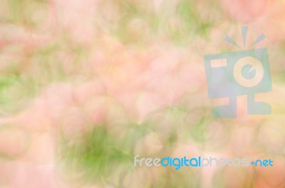 Blurred Pink Floral Field Background. Blurred Nature Background Stock Photo
