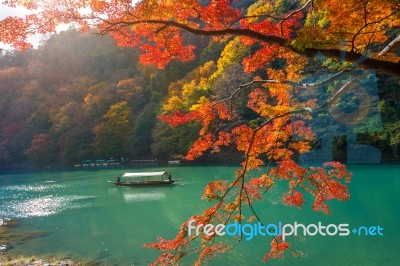 Boatman Punting The Boat At River. Arashiyama In Autumn Season Along The River In Kyoto, Japan Stock Photo