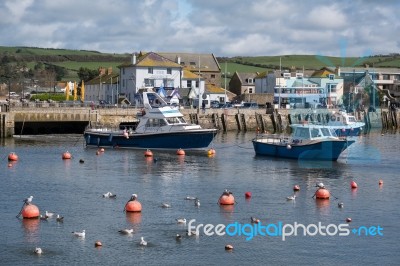 Boats In The Harbour At Lyme Regis Stock Photo