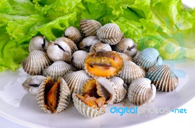 Boiled Cockles With Lettuce Stock Photo