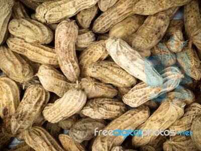 Boiled Peanuts Stock Photo