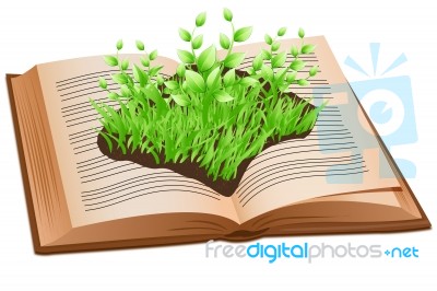 Book And Plant Stock Image