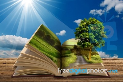 Book With Tree Stock Image