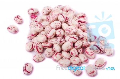 Borlotti Beans Stock Photo