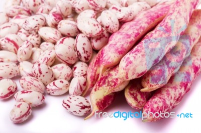 Borlotti Beans Stock Photo