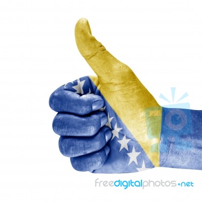 Bosnia Herzegovinai Flag On Hand Stock Photo