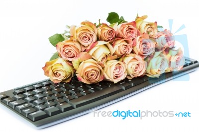 Bouquet Of Pink Roses On Keyboard Stock Photo