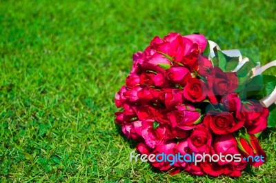 Bouquet Of Roses On The Lawn Stock Photo
