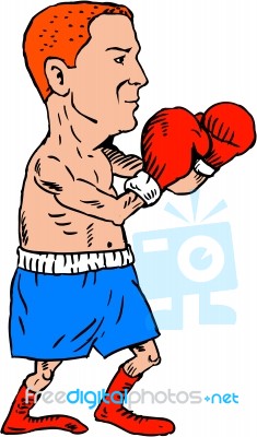 Boxer Fighting Stance Cartoon Stock Image